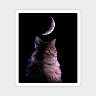 Moon Cat Magnet