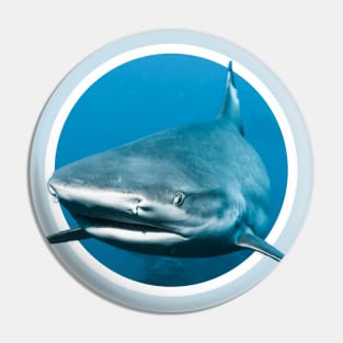 Black Tip shark Pin