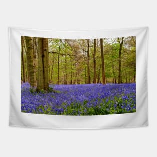 Bluebell Woods Greys Court Oxfordshire UK Tapestry