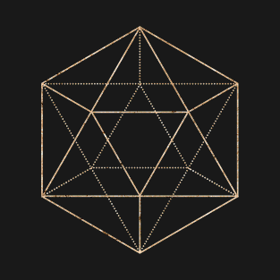 Gold Geometric Glyph Mandala Sigil Rune Sign Seal  -  371 T-Shirt