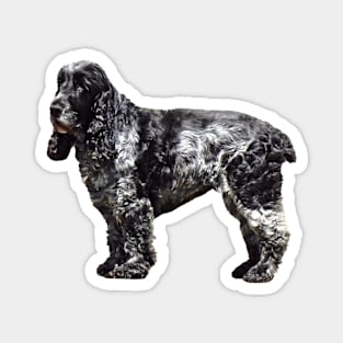 Black and Gray Spaniel Magnet