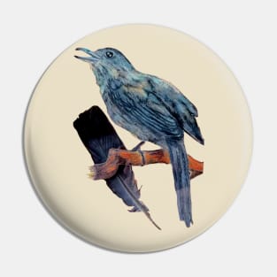 Catbird with Real Feather Pin