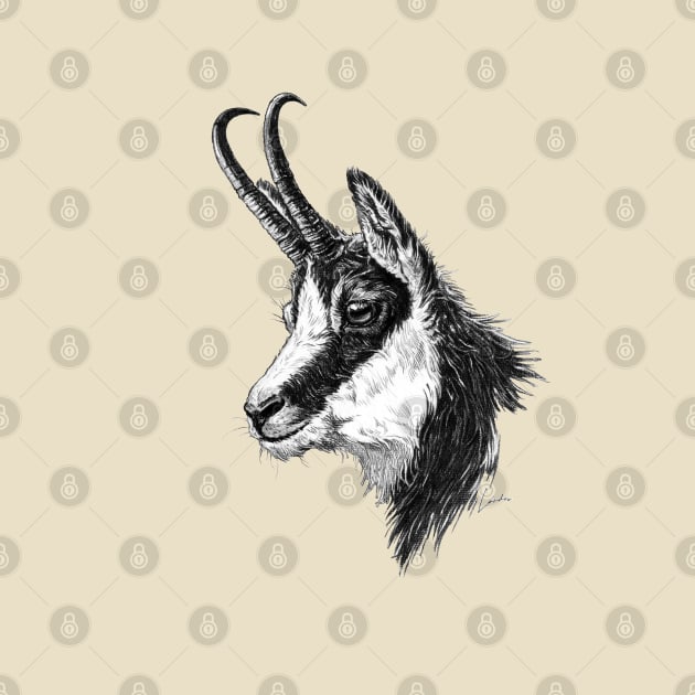 Chamois head by SakalDesign