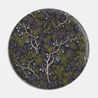 Evening in the fragrant juniper grove Pin