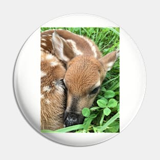 Fawn on the Farm Pin