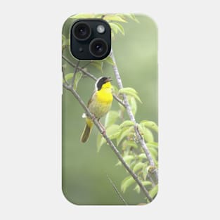 Common Yellowthroat bird with soft green out of focus background Phone Case