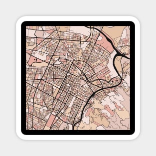 Turin Map Pattern in Soft Pink Pastels Magnet