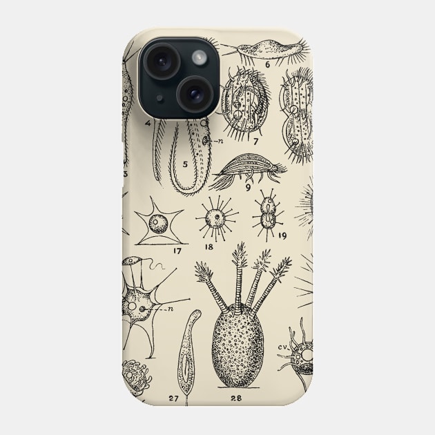 Cells engraving II Phone Case by metaphysical