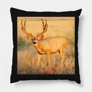 Buck Pillow