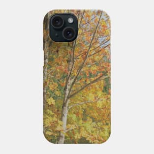 Maple Tree Phone Case