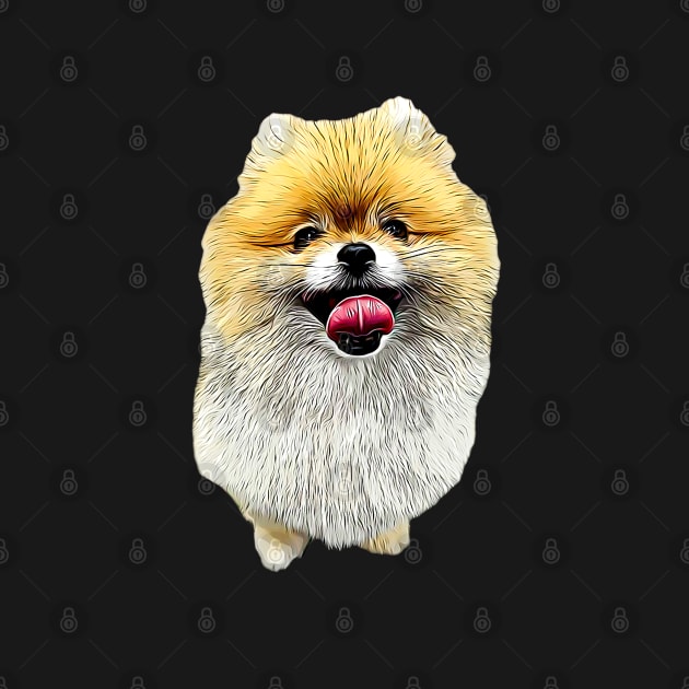 Pomeranian Dog Cutes Puppy by ElegantCat