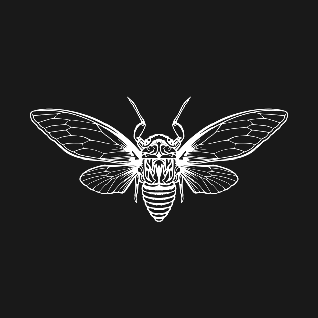 Cicada Cicadas Brood Insect by Jackys Design Room