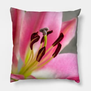 Pink Lily Pillow