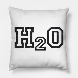 Vintage H2o Band Pillow