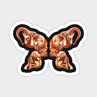 Elephant head as a macabre moth 2 Magnet