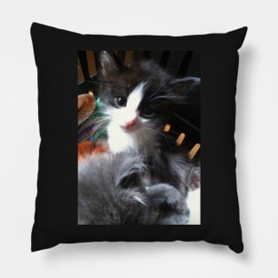 Cute Black and White Kitten Pillow