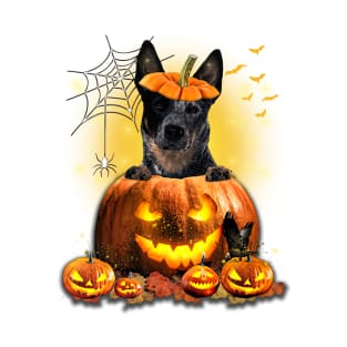 Blue Heeler Spooky Halloween Pumpkin Dog Head Gift T-Shirt