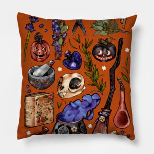 Kitchen Witch Orange background Pillow