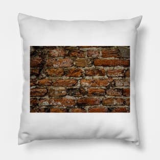 Bricks in the wall Pillow