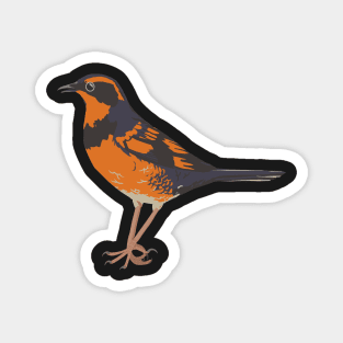 Varied Thrush Magnet