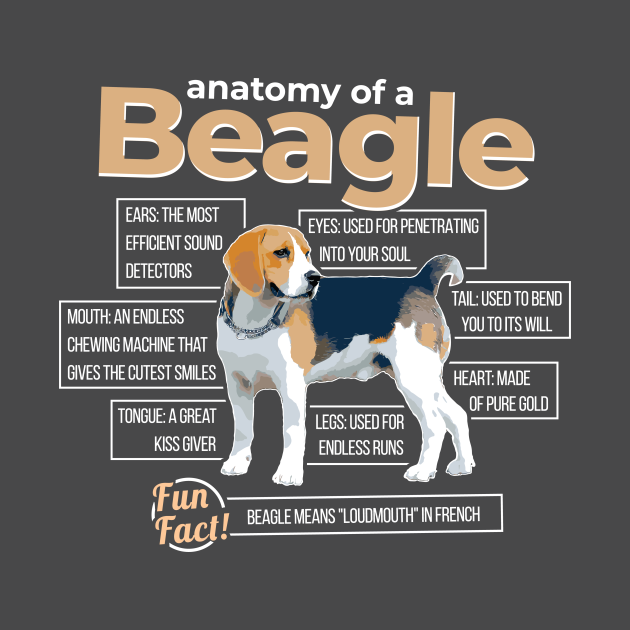 Anatomy of a Beagle Beagle Funny TShirt TeePublic