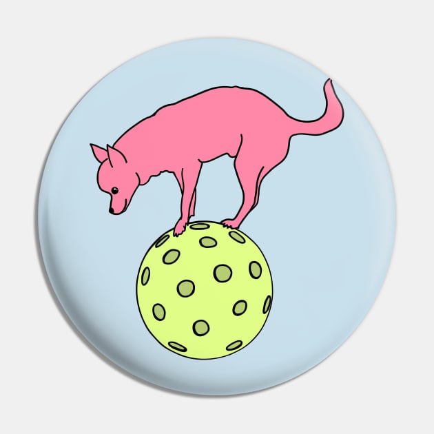 Lil Dinker (Chihuahua Pickleball) Pin by Sparkleweather