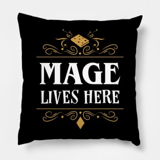 A Mage Lives Here Classes Series Pillow