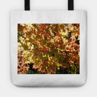 Maple Leaves in the Fall Tote