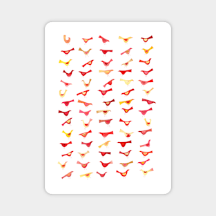 An Army of Undisciplined Birds Magnet