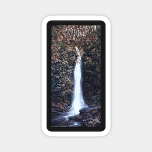 WHITE LADY WATERFALL LYDFORD DEVON ENGLAND Magnet