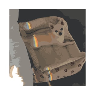 rainbow chihuahua T-Shirt