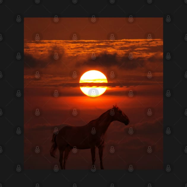 Horse under the dark Sun by volkvilla