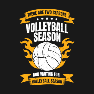 Funny Volleyball Player Season Coach Gift T-Shirt