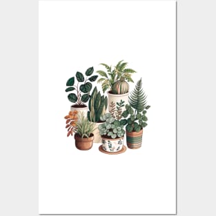 Potted Plants Collection Aesthetic