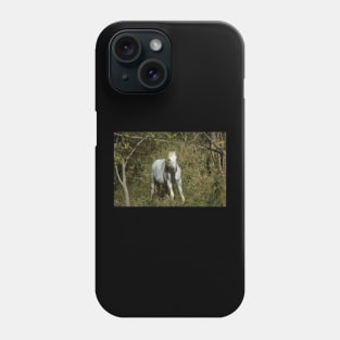 Wild Horse Stallion Phone Case