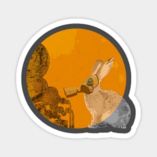 Poor rabbit on the moon Magnet