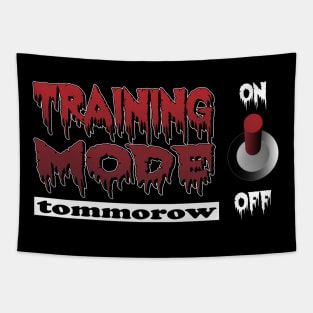 Training Mode On but tommorow, true story Tapestry