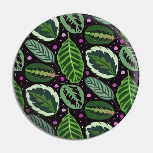 Maranta Pin