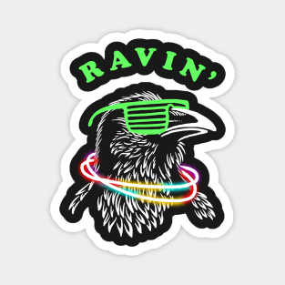 Ravin Raven Magnet