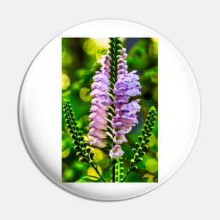 Obedient Plant 1 Pin