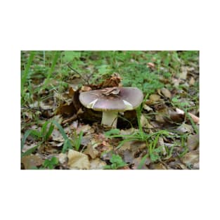 Boletus mushroom T-Shirt