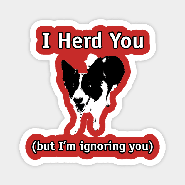 Border Collie - I herd you, but I'm ignoring you Magnet by Dogs and other stuff