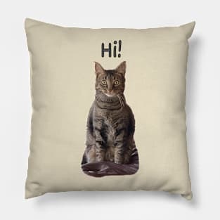 Hi! Pillow