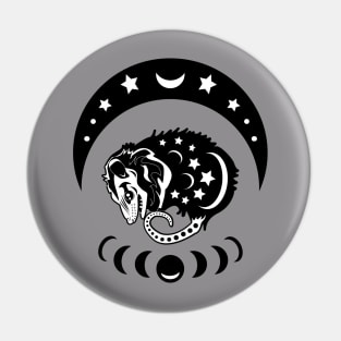 Witchy Possum Vibes Pin