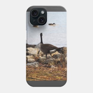 Two Canada Geese Gazing Towards The Water Phone Case