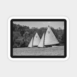 Wooden sail boats racing on Wroxham Broad, Norfolk Magnet