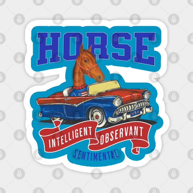 Humor funny and cute Horse driving a classic car to a retro parade with red white and blue flags Magnet by Danny Gordon Art