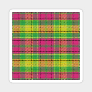 Scottish tartan, black, yellow, pink; green Magnet