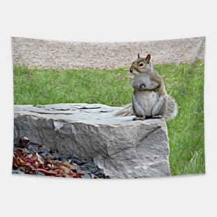 Grey Squirrel on Rock No.2 Tapestry