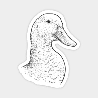 Zac Duck Magnet